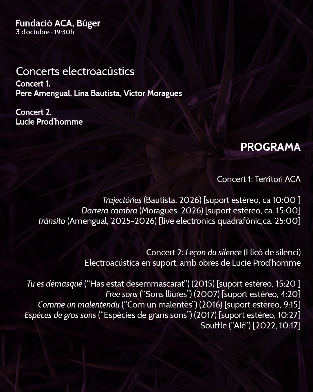 Territori ACA. Concerts Electroacústics