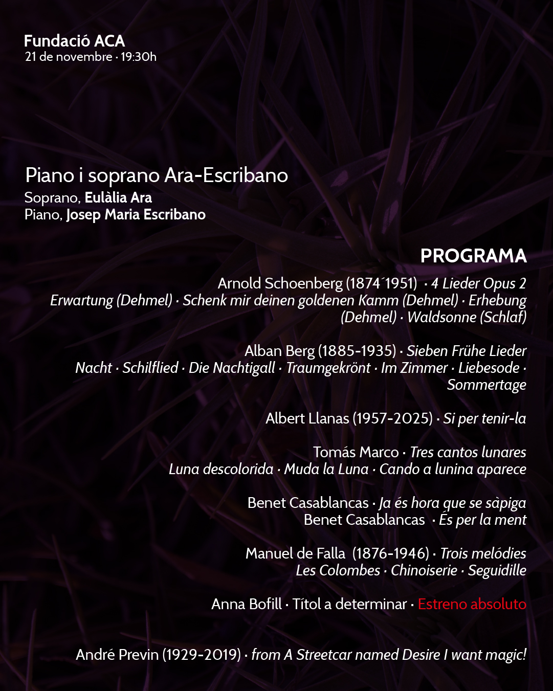 Programa Ara-Escribano